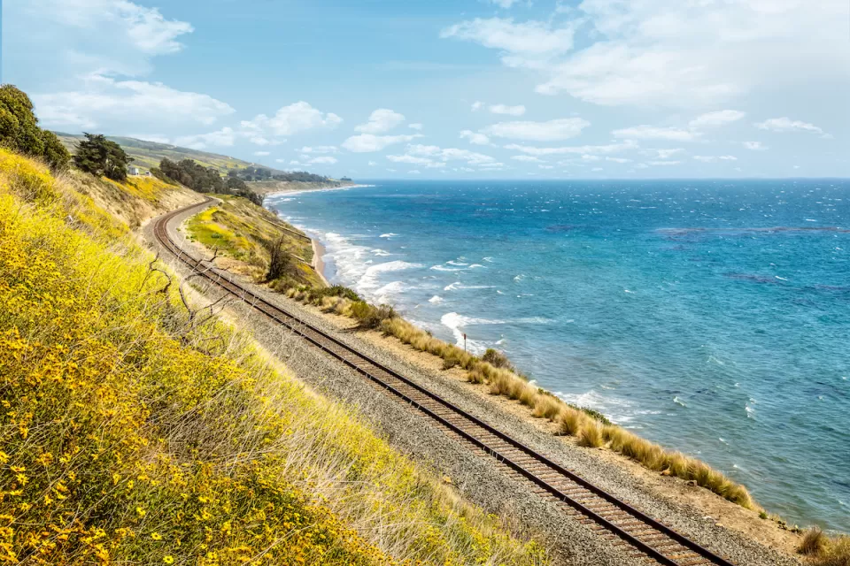 Train tracks along California coast with yellow wildflowers blooming on one side and blue Pacific Ocean on the other.